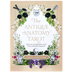 SCARLOPH Antique Anatomy Tarot Kit Abrams Noterie
